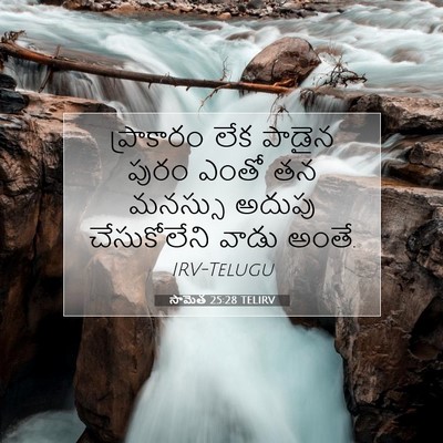 Picture 07 - సామెత 25:28 TELIRV - ప్రాకారం లేక - Bible Verse Picture