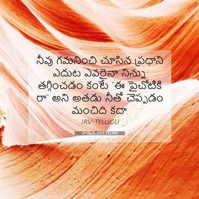 Picture 07 - సామెత 25:7 TELIRV - నీవు గమనించి - Bible Verse Picture