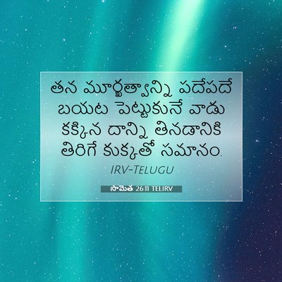 Picture 07 - సామెత 26:11 TELIRV - తన మూర్ఖత్వాన్ని - Bible Verse Picture