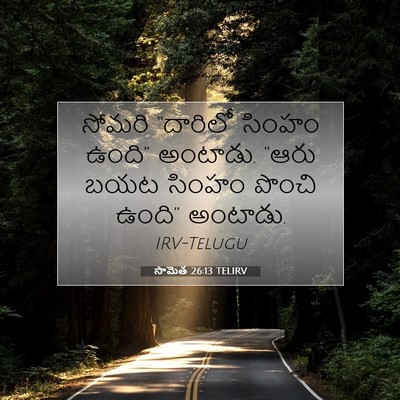 Picture 07 - సామెత 26:13 TELIRV - సోమరి “దారిలో - Bible Verse Picture