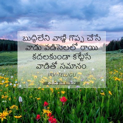 Picture 07 - సామెత 26:8 TELIRV - బుద్ధిలేని వాణ్ణి - Bible Verse Picture