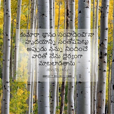 Picture 07 - సామెత 27:11 TELIRV - కుమారా, జ్ఞానం - Bible Verse Picture