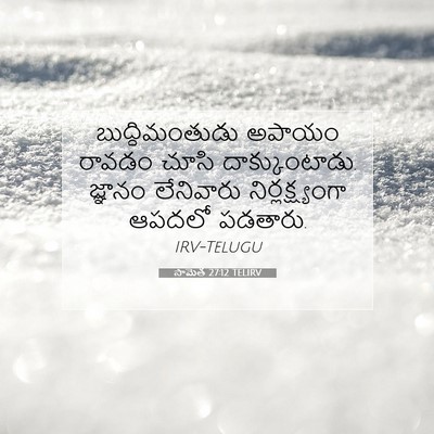 Picture 07 - సామెత 27:12 TELIRV - బుద్ధిమంతుడు - Bible Verse Picture