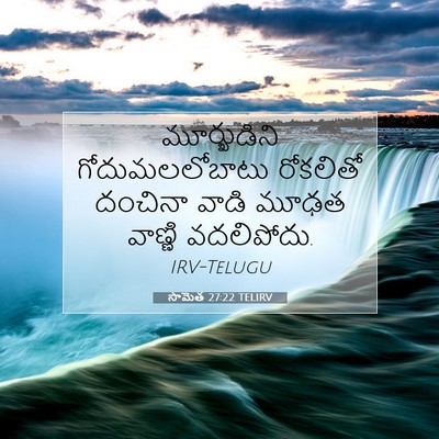 Picture 07 - సామెత 27:22 TELIRV - మూర్ఖుడిని - Bible Verse Picture