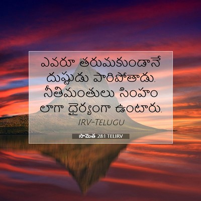 Picture 07 - సామెత 28:1 TELIRV - ఎవరూ తరుమకుండానే - Bible Verse Picture