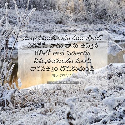 Picture 07 - సామెత 28:10 TELIRV - యథార్థవంతులను - Bible Verse Picture