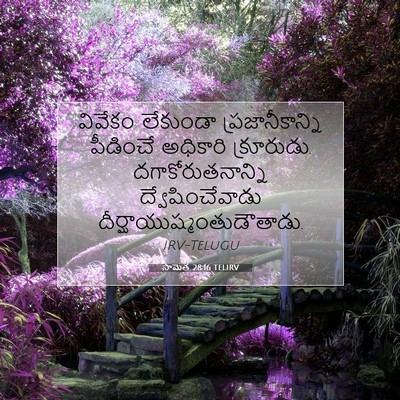 Picture 07 - సామెత 28:16 TELIRV - వివేకం లేకుండా - Bible Verse Picture