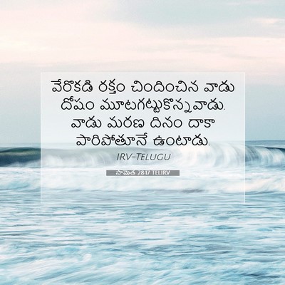 Picture 07 - సామెత 28:17 TELIRV - వేరొకడి రక్తం - Bible Verse Picture