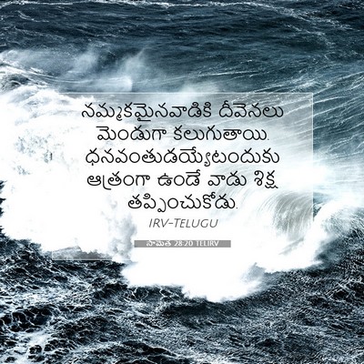 Picture 07 - సామెత 28:20 TELIRV - నమ్మకమైనవాడికి - Bible Verse Picture