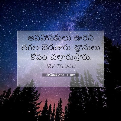 Picture 07 - సామెత 29:8 TELIRV - అపహాసకులు ఊరిని - Bible Verse Picture