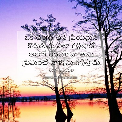 Picture 07 - సామెత 3:12 TELIRV - ఒక తండ్రి తన - Bible Verse Picture