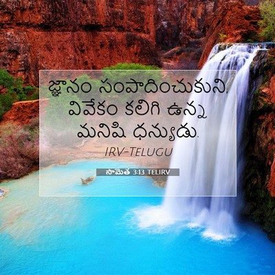 Picture 07 - సామెత 3:13 TELIRV - జ్ఞానం - Bible Verse Picture