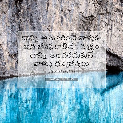 Picture 07 - సామెత 3:18 TELIRV - దాన్ని అనుసరించే - Bible Verse Picture