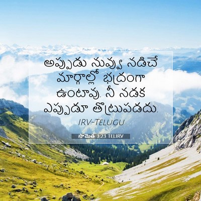 Picture 07 - సామెత 3:23 TELIRV - అప్పుడు నువ్వు - Bible Verse Picture
