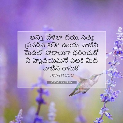 Picture 07 - సామెత 3:3 TELIRV - అన్ని వేళలా దయ, - Bible Verse Picture