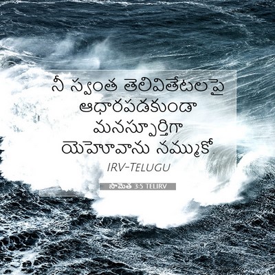 Picture 07 - సామెత 3:5 TELIRV - నీ స్వంత - Bible Verse Picture