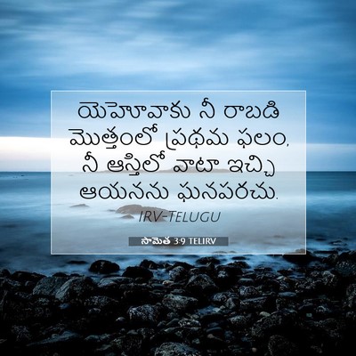 Picture 07 - సామెత 3:9 TELIRV - యెహోవాకు నీ రాబడి - Bible Verse Picture