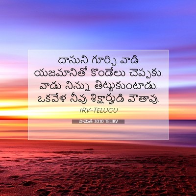 Picture 07 - సామెత 30:10 TELIRV - దాసుని గూర్చి - Bible Verse Picture