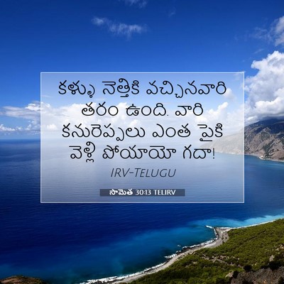 Picture 07 - సామెత 30:13 TELIRV - కళ్ళు నెత్తికి - Bible Verse Picture