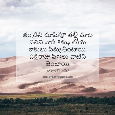 Picture 07 - సామెత 30:17 TELIRV - తండ్రిని దూషిస్తూ - Bible Verse Picture