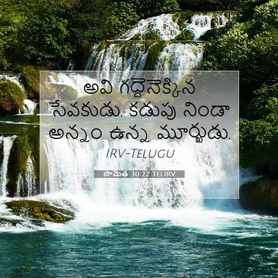 Picture 07 - సామెత 30:22 TELIRV - అవి గద్దెనెక్కిన - Bible Verse Picture