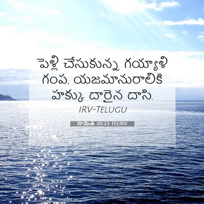 Picture 07 - సామెత 30:23 TELIRV - పెళ్లి చేసుకున్న - Bible Verse Picture