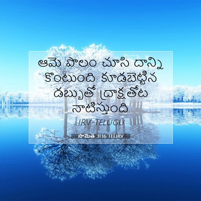 Picture 07 - సామెత 31:16 TELIRV - ఆమె పొలం చూసి - Bible Verse Picture