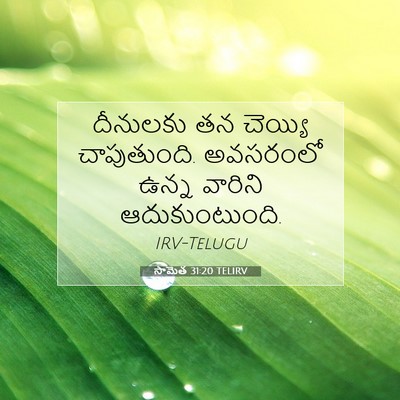 Picture 07 - సామెత 31:20 TELIRV - దీనులకు తన చెయ్యి - Bible Verse Picture