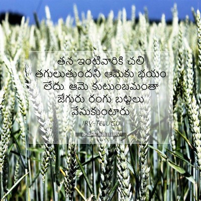 Picture 07 - సామెత 31:21 TELIRV - తన ఇంటివారికి చలి - Bible Verse Picture