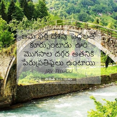 Picture 07 - సామెత 31:23 TELIRV - ఆమె భర్త దేశపు - Bible Verse Picture