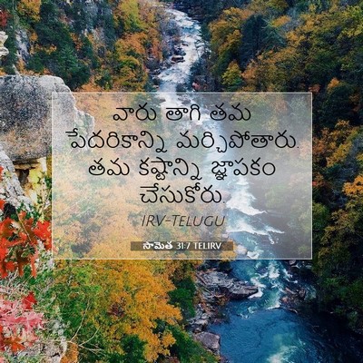 Picture 07 - సామెత 31:7 TELIRV - వారు తాగి తమ - Bible Verse Picture