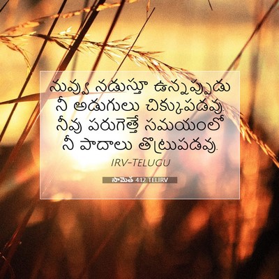 Picture 07 - సామెత 4:12 TELIRV - నువ్వు నడుస్తూ - Bible Verse Picture
