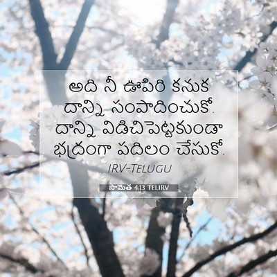 Picture 07 - సామెత 4:13 TELIRV - అది నీ ఊపిరి కనుక - Bible Verse Picture