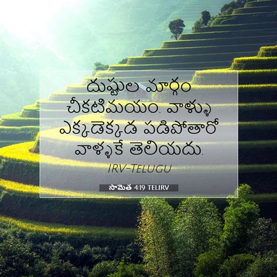 Picture 07 - సామెత 4:19 TELIRV - దుష్టుల మార్గం - Bible Verse Picture