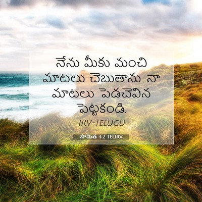Picture 07 - సామెత 4:2 TELIRV - నేను మీకు మంచి - Bible Verse Picture