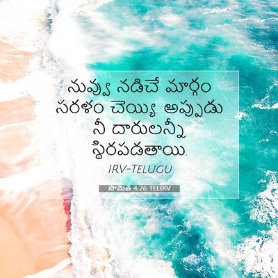 Picture 07 - సామెత 4:26 TELIRV - నువ్వు నడిచే - Bible Verse Picture