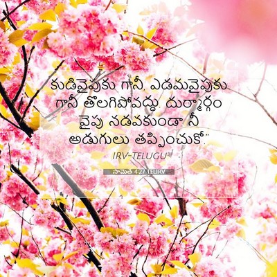 Picture 07 - సామెత 4:27 TELIRV - కుడివైపుకు గానీ, - Bible Verse Picture