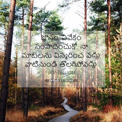 Picture 07 - సామెత 4:5 TELIRV - జ్ఞానం, వివేకం - Bible Verse Picture