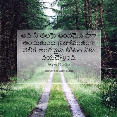 Picture 07 - సామెత 4:9 TELIRV - అది నీ తలపై అందమైన - Bible Verse Picture