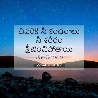 Picture 07 - సామెత 5:11 TELIRV - చివరికి నీ - Bible Verse Picture
