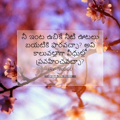 Picture 07 - సామెత 5:16 TELIRV - నీ ఇంట ఉబికే నీటి - Bible Verse Picture