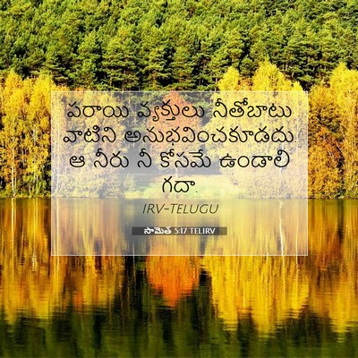 Picture 07 - సామెత 5:17 TELIRV - పరాయి వ్యక్తులు - Bible Verse Picture