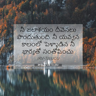 Picture 07 - సామెత 5:18 TELIRV - నీ జలాశయం దీవెనలు - Bible Verse Picture