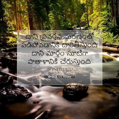 Picture 07 - సామెత 5:5 TELIRV - దాని ప్రవర్తన - Bible Verse Picture