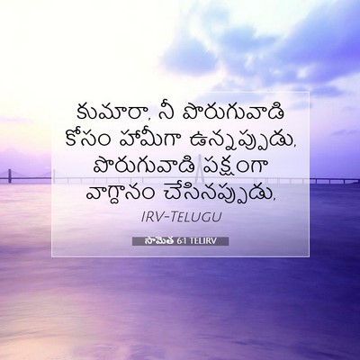 Picture 07 - సామెత 6:1 TELIRV - కుమారా, నీ - Bible Verse Picture