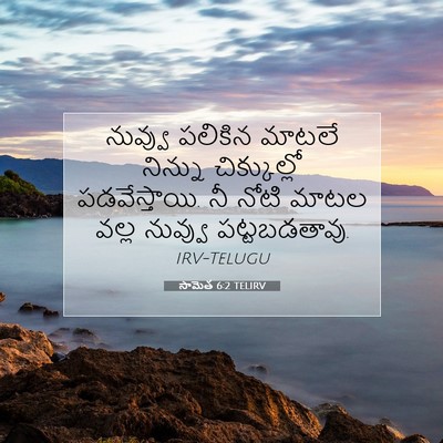 Picture 07 - సామెత 6:2 TELIRV - నువ్వు పలికిన - Bible Verse Picture