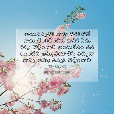 Picture 07 - సామెత 6:31 TELIRV - అయినప్పటికీ వాడు - Bible Verse Picture
