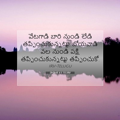 Picture 07 - సామెత 6:5 TELIRV - వేటగాడి బారి - Bible Verse Picture