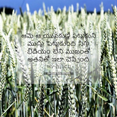Picture 07 - సామెత 7:13 TELIRV - ఆమె ఆ యువకుణ్ణి - Bible Verse Picture