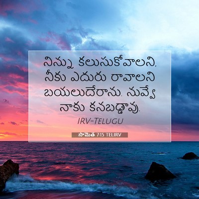 Picture 07 - సామెత 7:15 TELIRV - నిన్ను - Bible Verse Picture